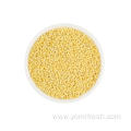 Yellow Proso Millet